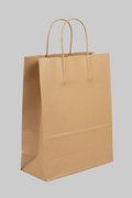 Large Twisted Handle Paper Bag
