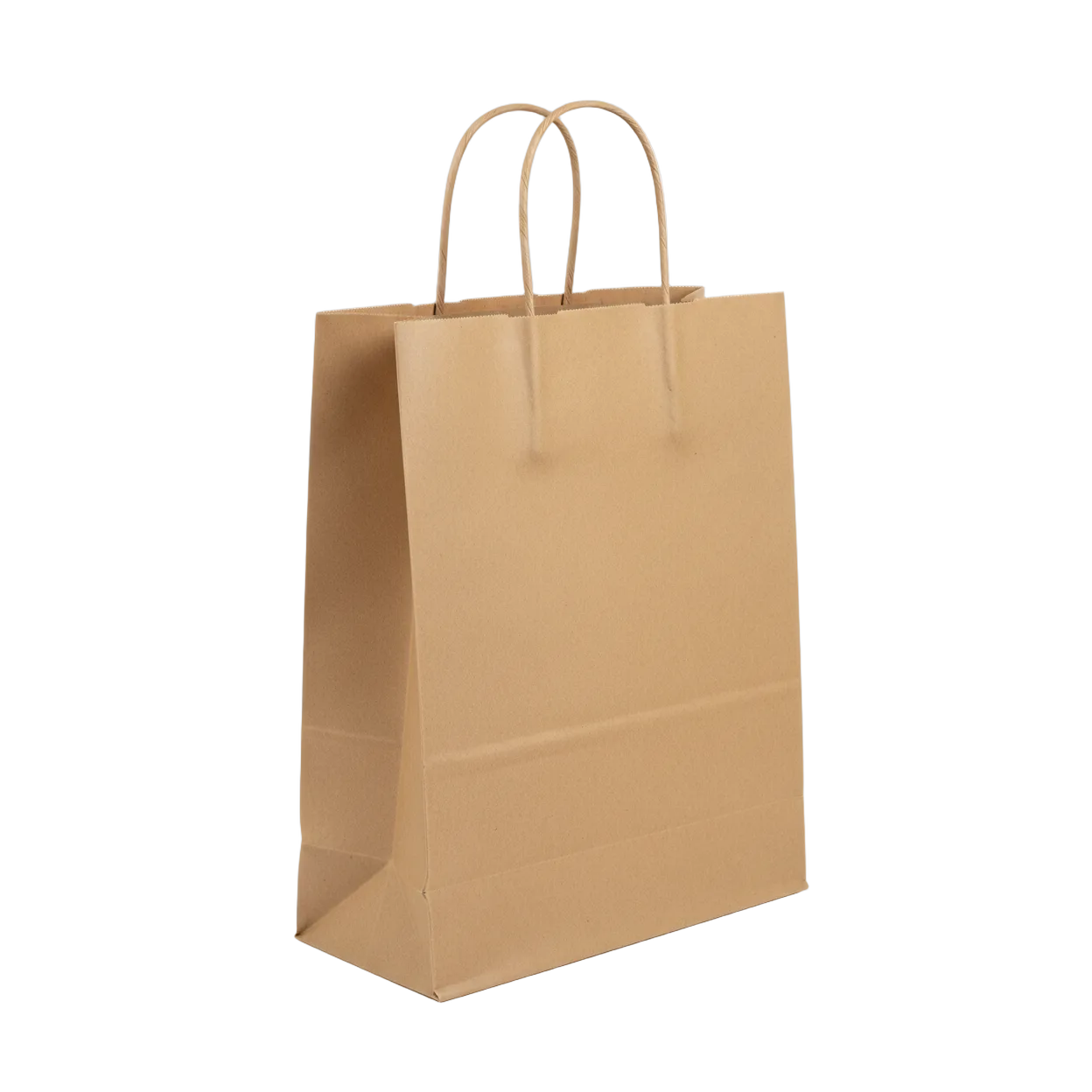 Large Twisted Handle Paper Bag