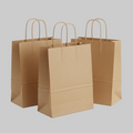 Large Twisted Handle Paper Bags - Multiple